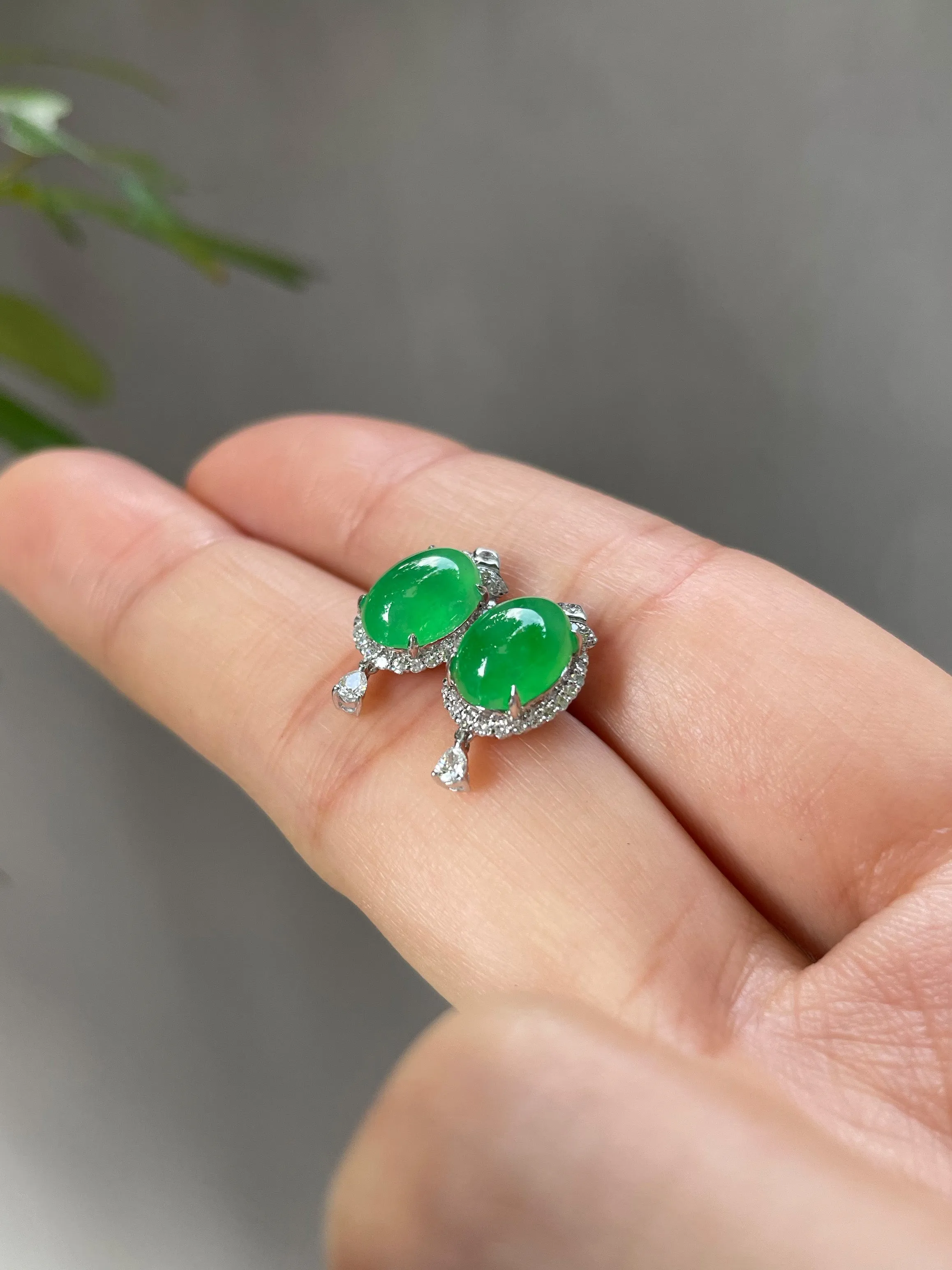 Icy Green Jadeite Cabochon Earrings (NJE023)