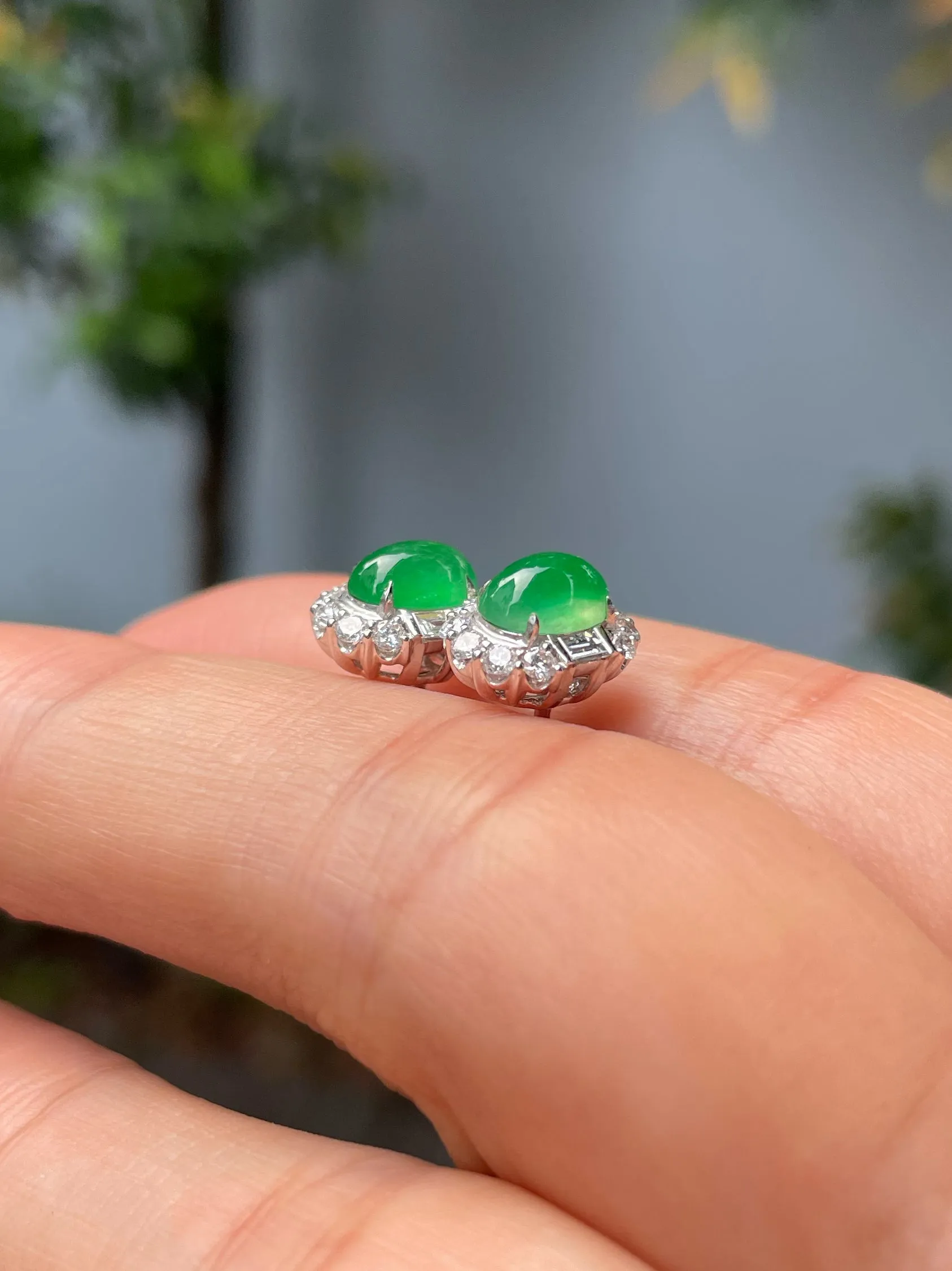 Icy Green Jadeite Cabochon Ring   Earrings (NJS003)