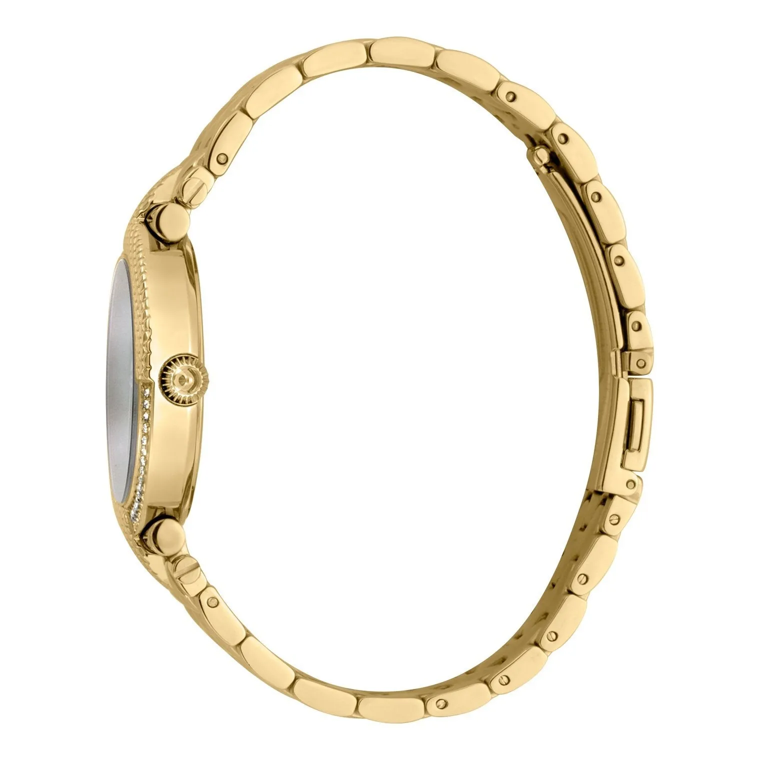 Ladies Animalier Watch (JC1L105M0085)